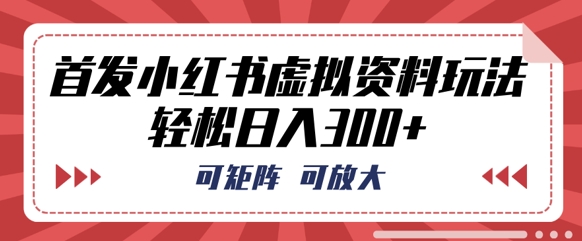 首发小红书虚拟资料玩法，可矩阵，可放大，轻松日入3张-轻创终点站